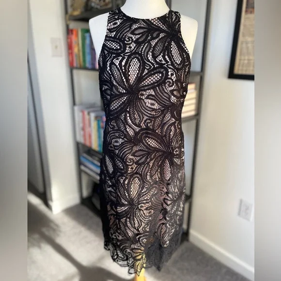 chinese dress ladies Babaton Rafael Lace Dress  Change Things Up